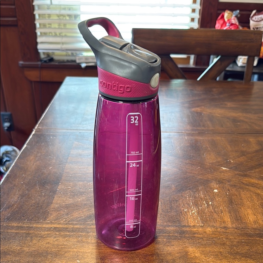 Contigo Pink Water Bottle